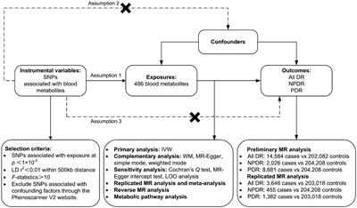 Causal relationships between blood metabolites and diabetic retinopathy: a two-sample Mendelian randomization study